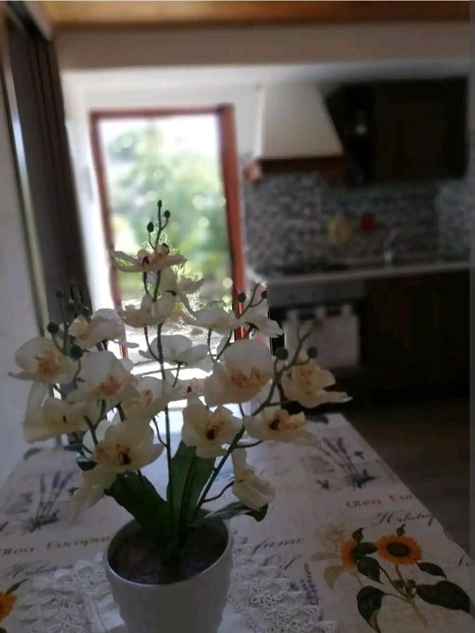 La Gallizza Appartement